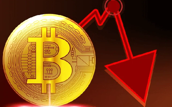 카지노 룰렛 사이트