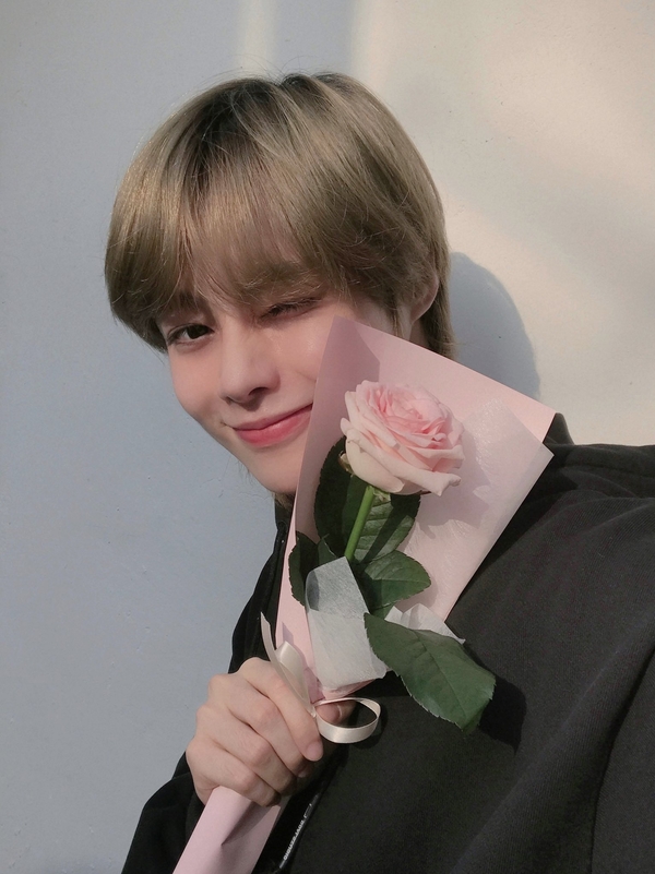 온라인 카지노 추천