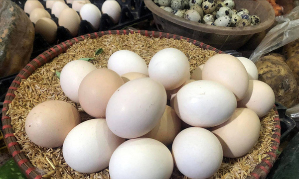 꽁 머니 카지노 3 만