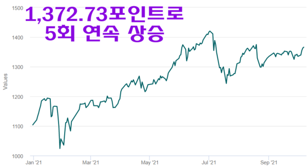 우리 카지노