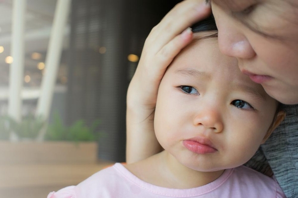 에볼루션 카지노 사이트