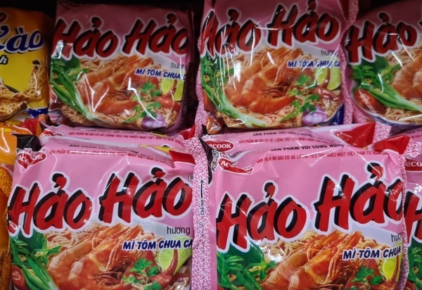 카지노 사이트 추천