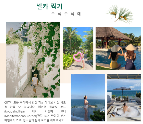 온라인 카지노
