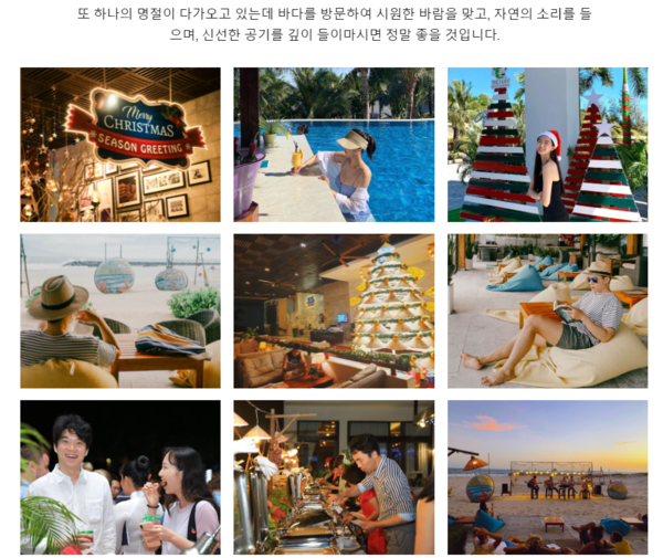 온라인 카지노