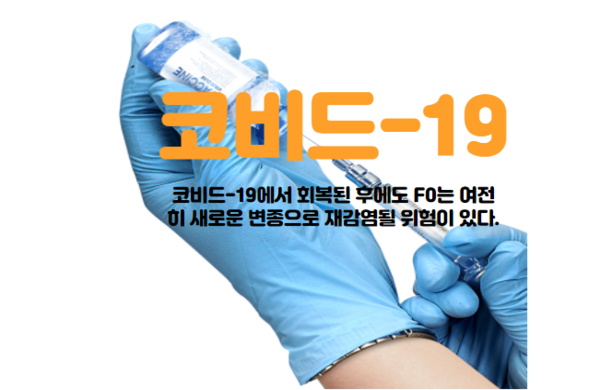 메이저사이트
