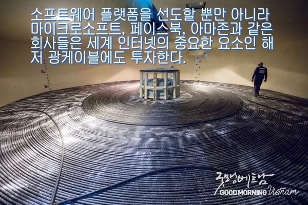 에볼루션 카지노 사이트