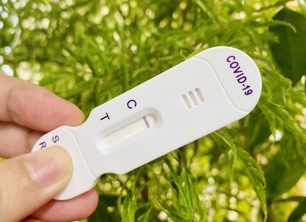 에볼루션 카지노 사이트