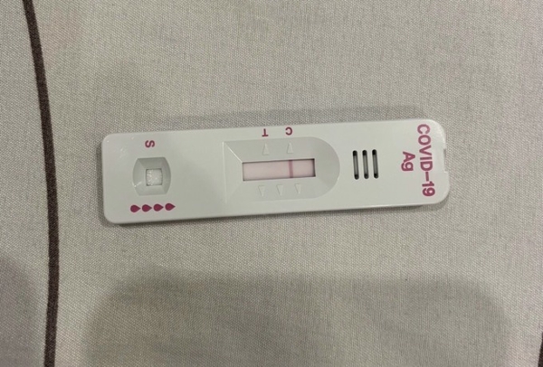 카지노 룰렛 사이트