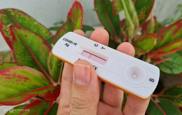 온라인 카지노 추천