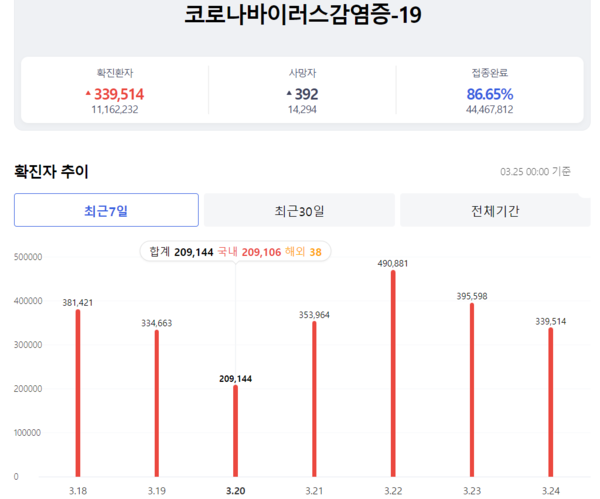 온라인 카지노