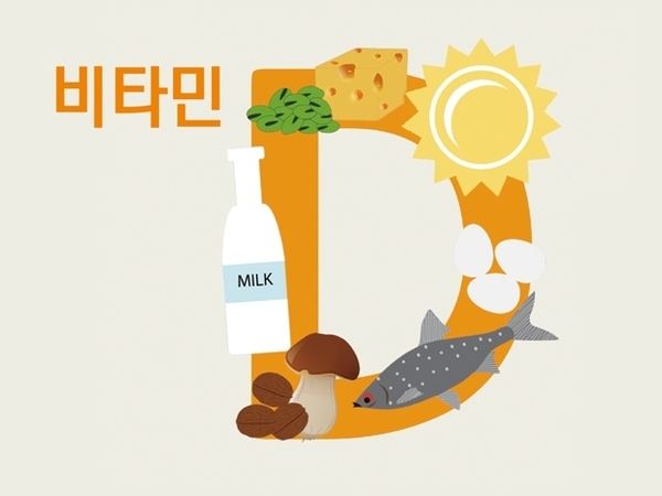 카지노 룰렛 사이트