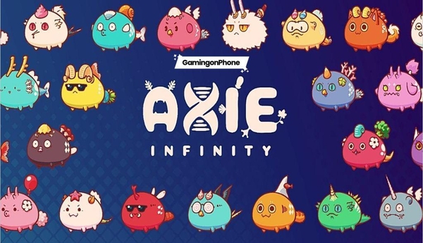 카지노사이트