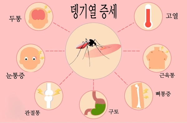 카지노 사이트 추천