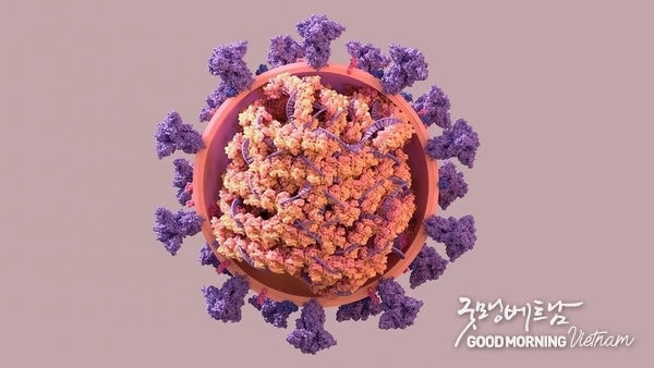 카지노 사이트 추천