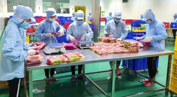 샌즈 카지노 사이트