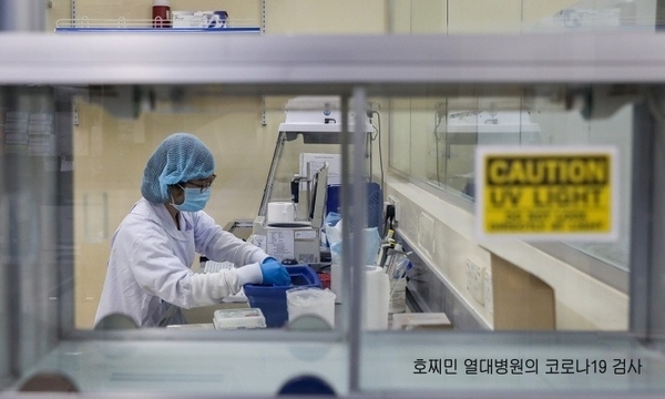 에볼루션 카지노 사이트