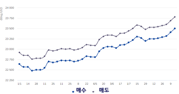 카지노 사이트 추천