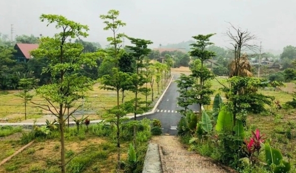 에볼루션 카지노 사이트