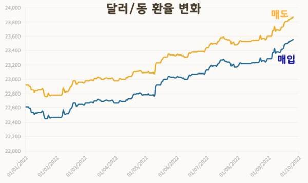 온라인 카지노 추천