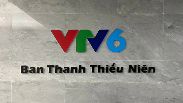 vtv6