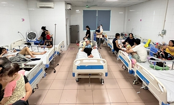 카지노사이트