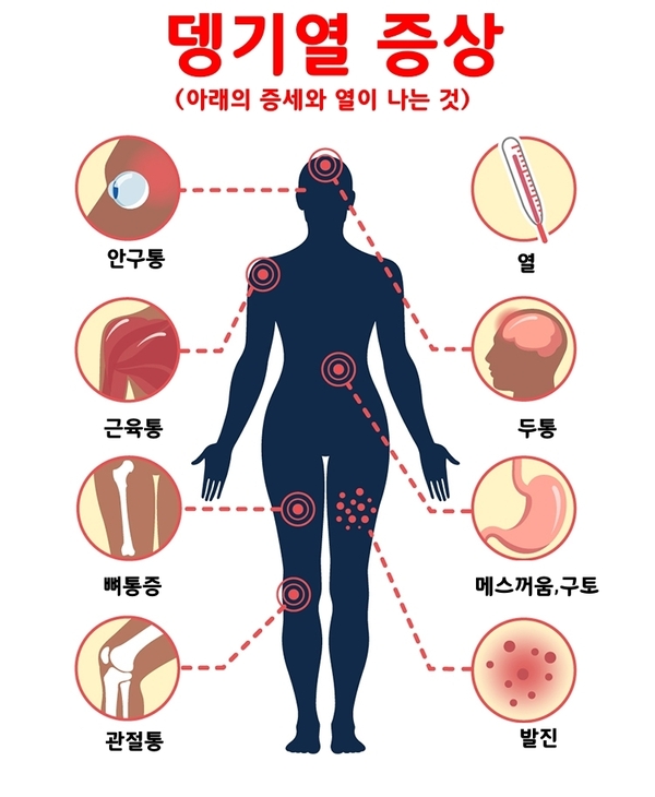에볼루션 카지노 사이트