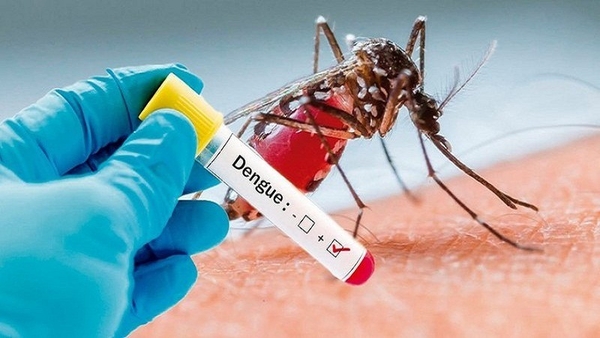 메이저사이트