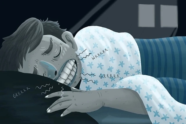 에볼루션 카지노 사이트