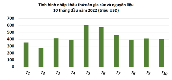 에볼루션 카지노 사이트