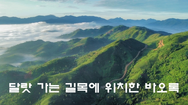 카지노 커뮤니티