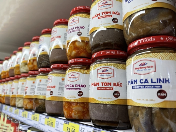 카지노 게임