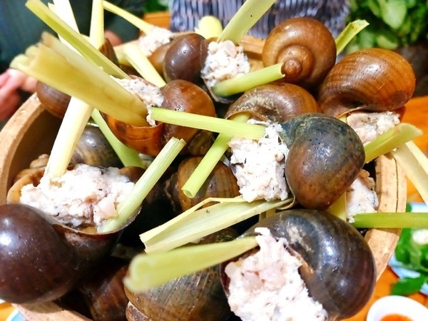 에볼루션 카지노 사이트