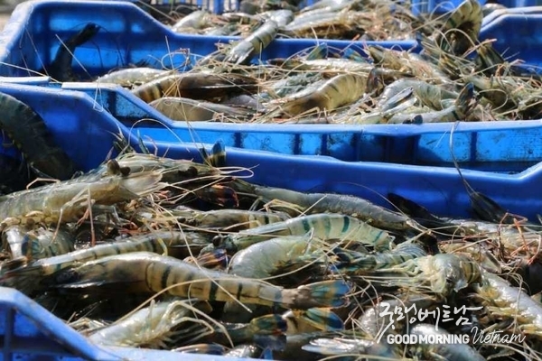 꽁 머니 카지노 3 만