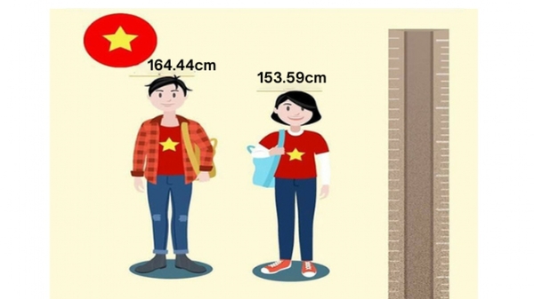 온라인 카지노 합법 사이트