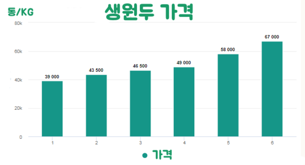 카지노