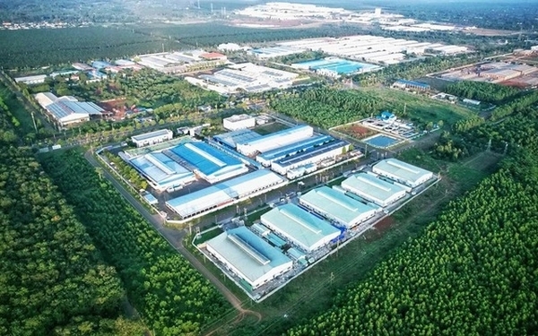 카지노 사이트 추천