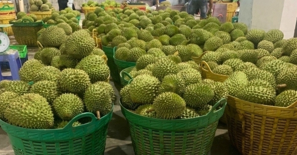 카지노 게임