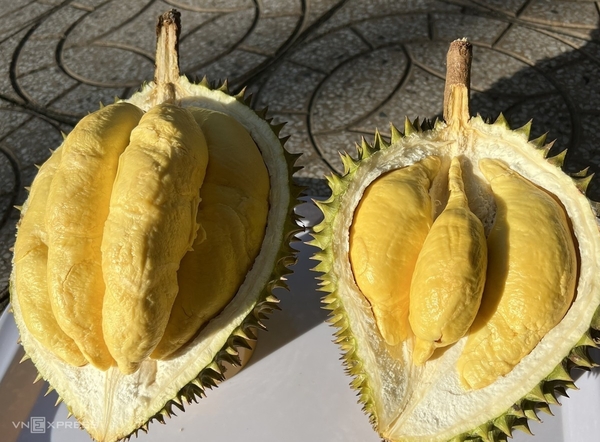 카지노 사이트 추천