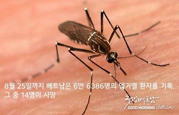 카지노 사이트 추천