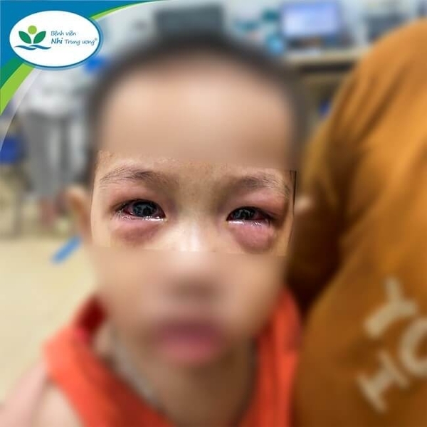 온라인 카지노 합법 사이트