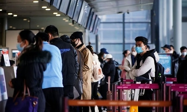 온라인 카지노