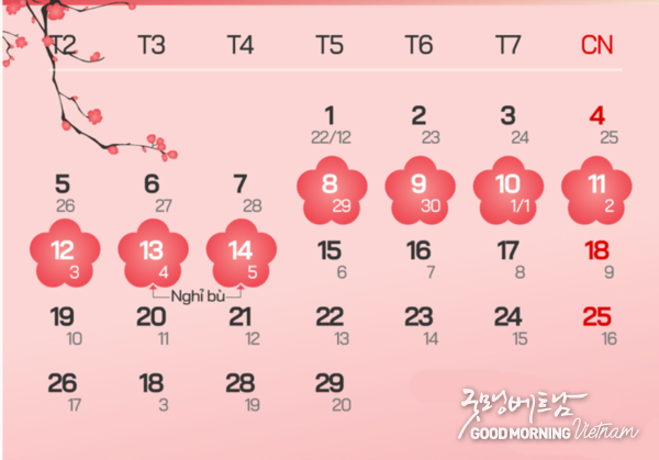 카지노 룰렛 사이트