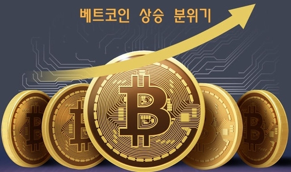 온라인 카지노 합법 사이트