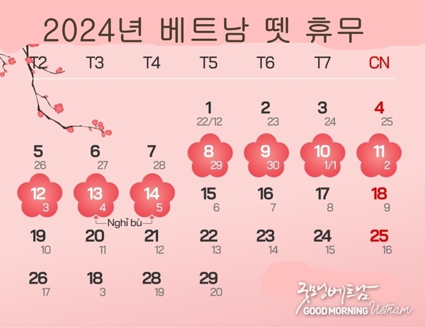 카지노사이트