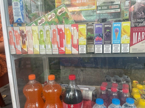 카지노 사이트 추천