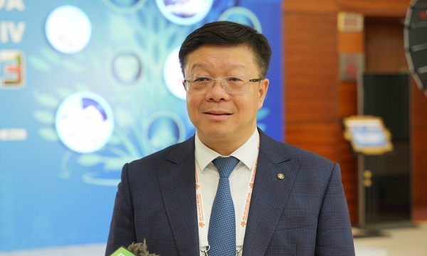 온라인 카지노 추천