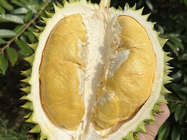 카지노 커뮤니티