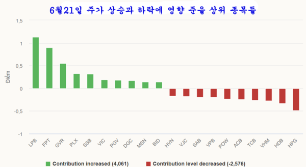 카지노 사이트 추천