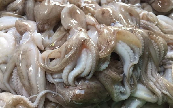 메이저사이트