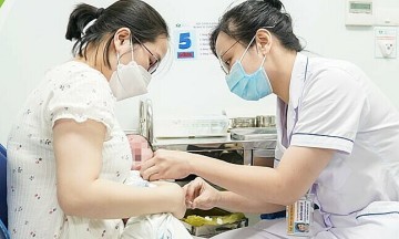 메이저사이트